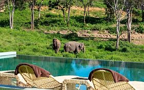Wild Cottages Elephant Sanctuary Resort